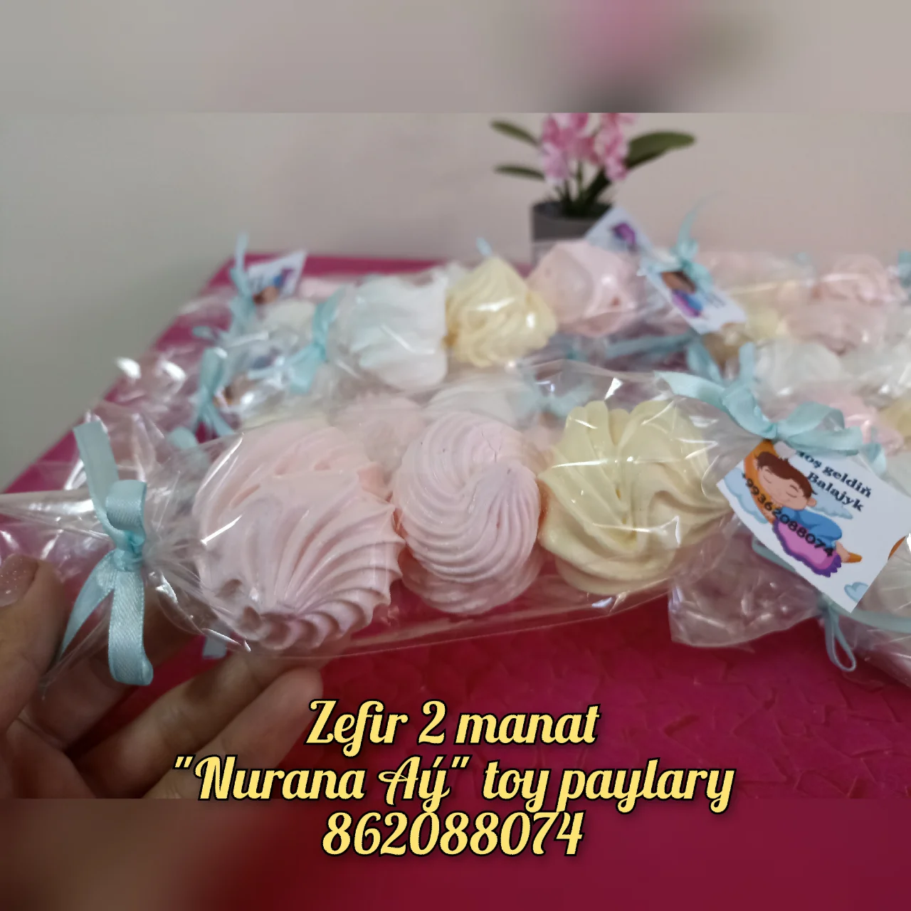 Zefir